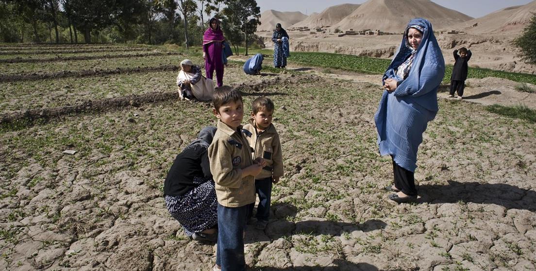 La AECID contribuirá con más de 8,5 millones de euros a Organismos Internacionales de ayuda humanitaria y cooperación al desarro